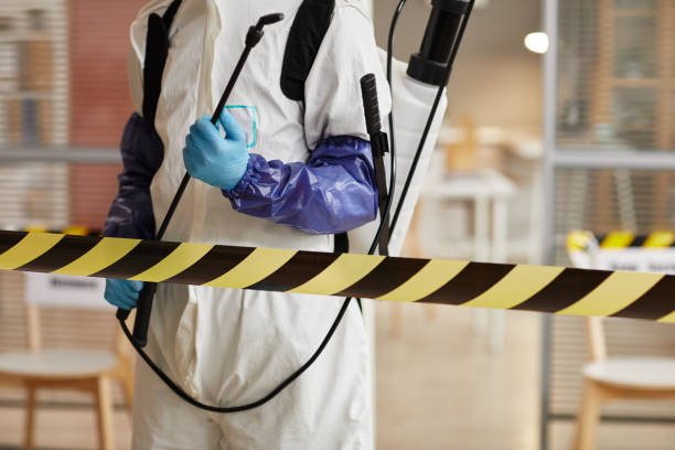 Professional Sewage Cleanup technician working in Lakewood, WA